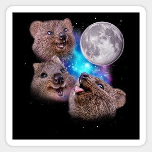 Three Quokkas Howl at the Moon Magnet